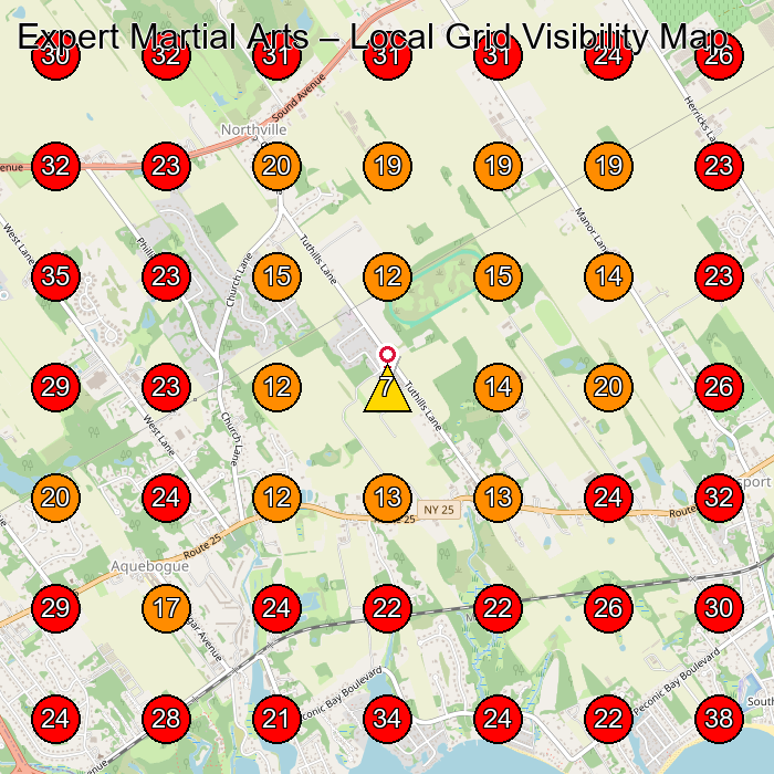 Expert Martial Arts GeoGrid visibility map for Martial Arts School in East Quogue